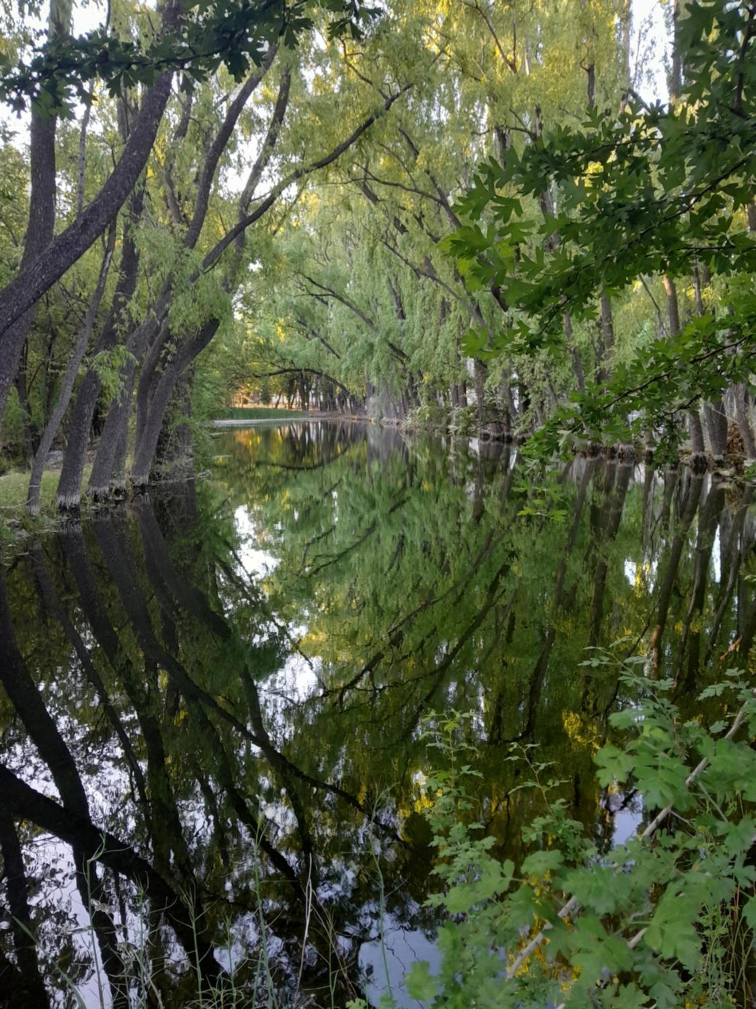 La Venecia * San Rafael (Mendoza)